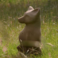 Fox-sculpture-in-sandstone