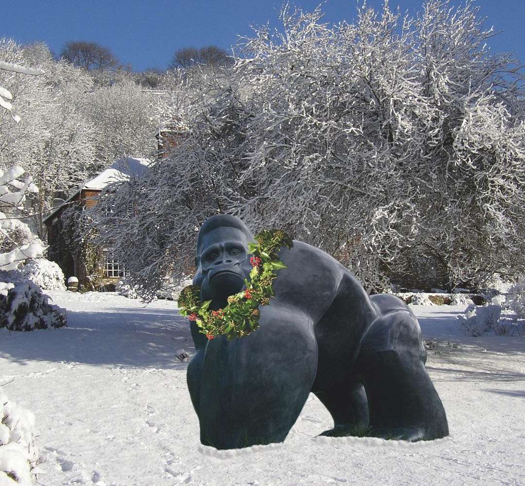 Silverback in the Snow